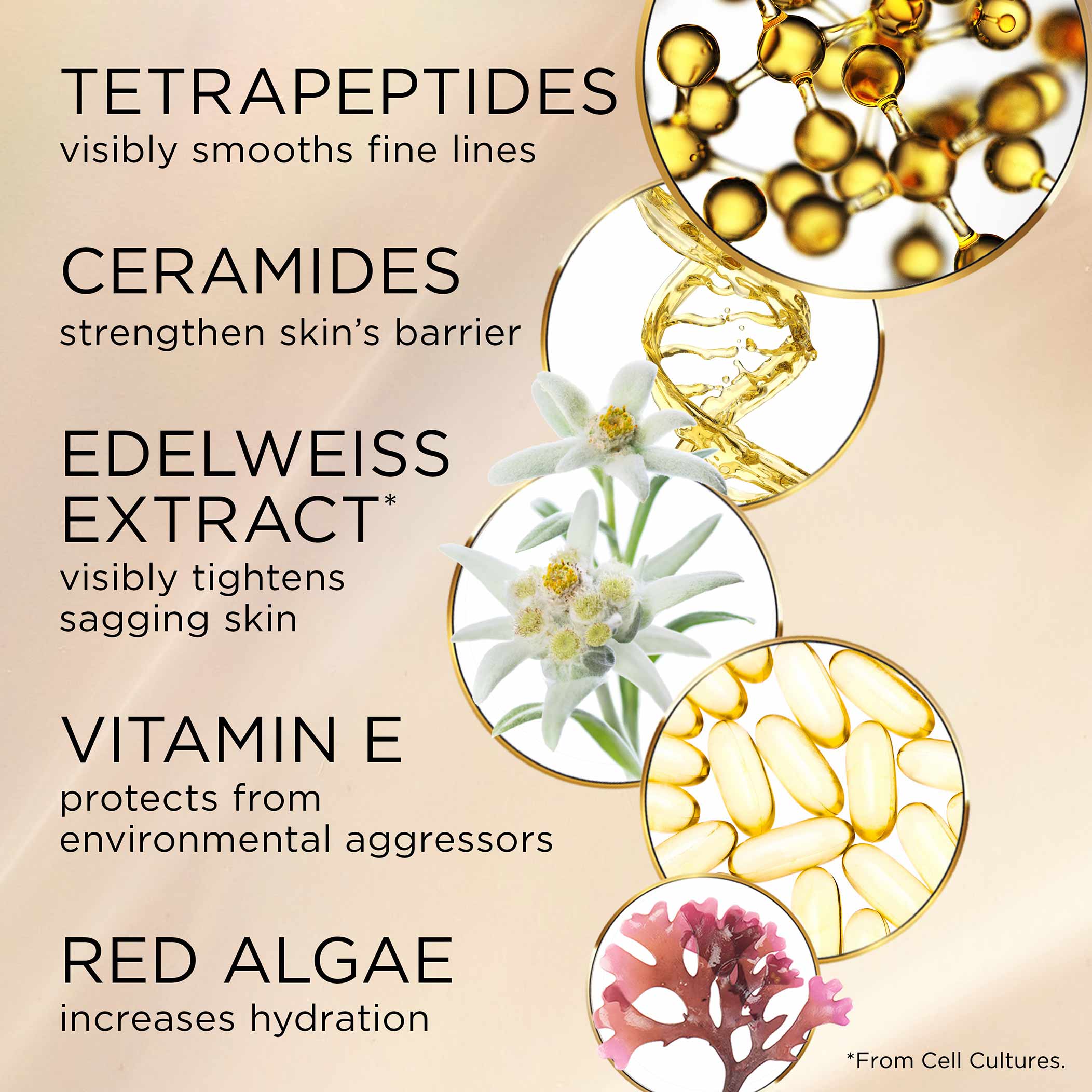Advanced Ceramide Lift and Firm Day Cream - Image 5