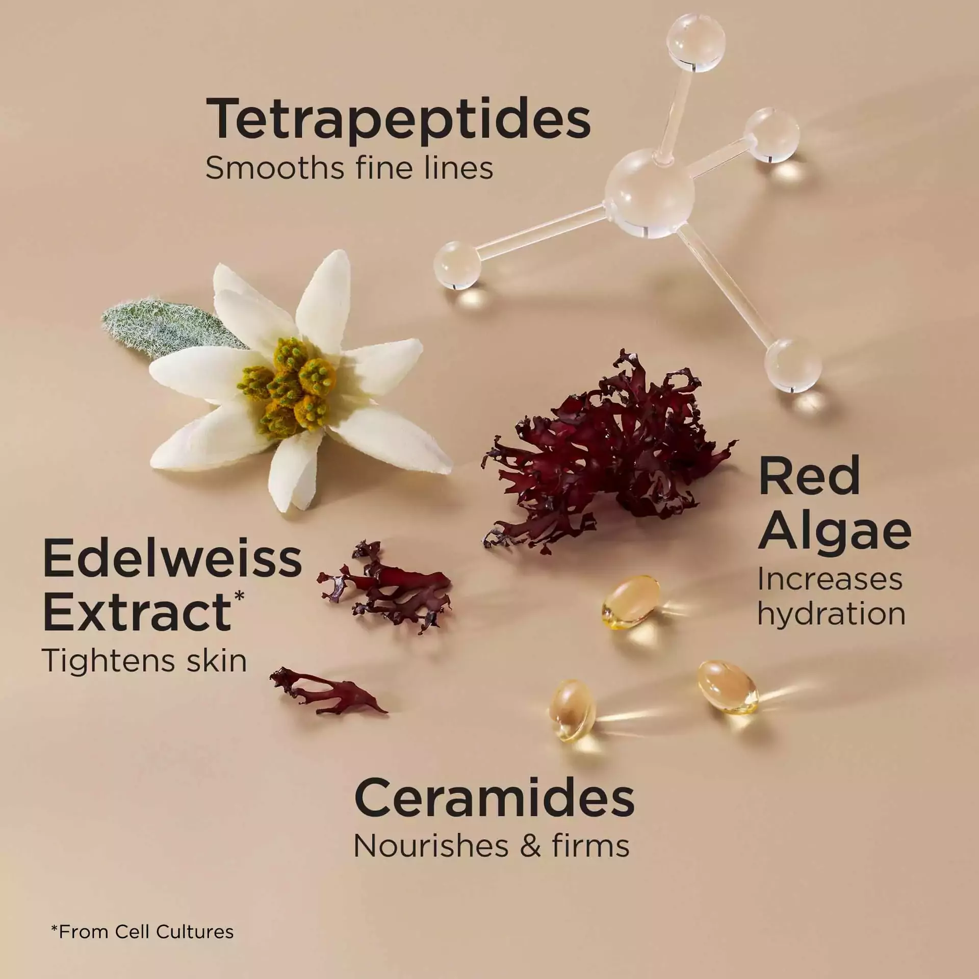 Advanced Ceramide Lift and Firm Day & Night Cream Set - Image 8