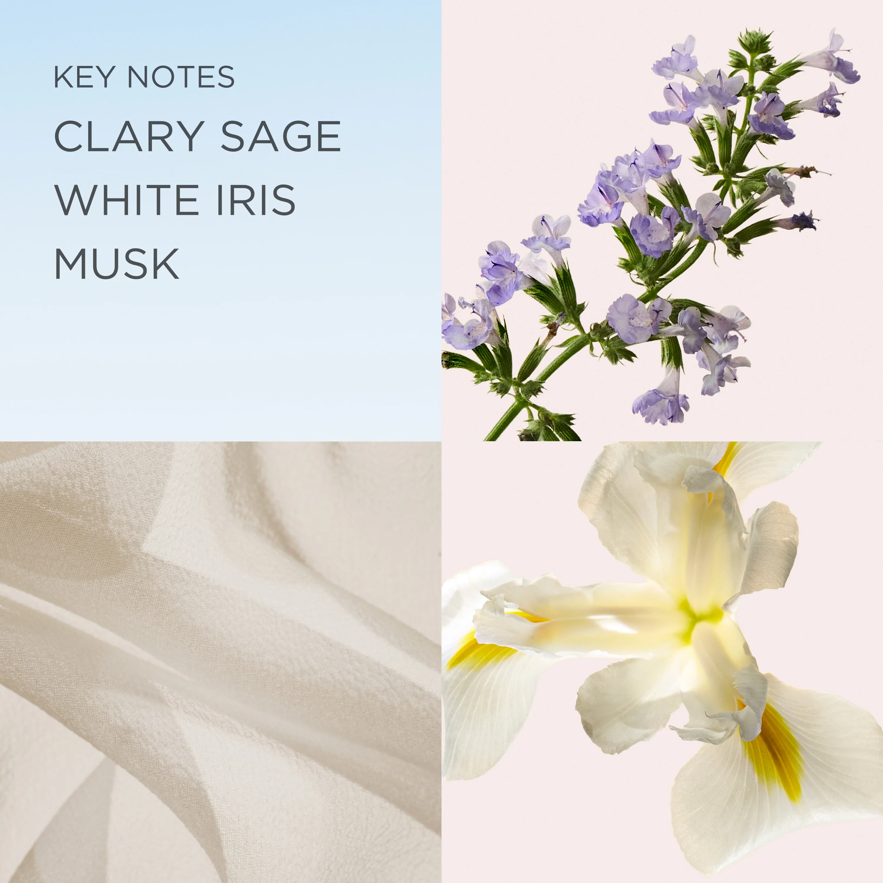 White Tea Eau de Toilette Spray - Image 4