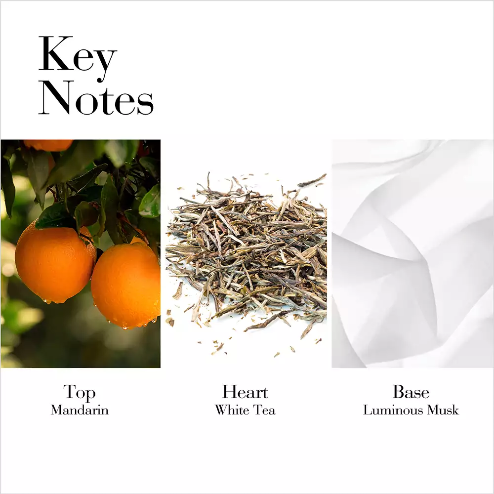 White Tea Mandarin Blossom Eau De Toilette Spray - Image 3