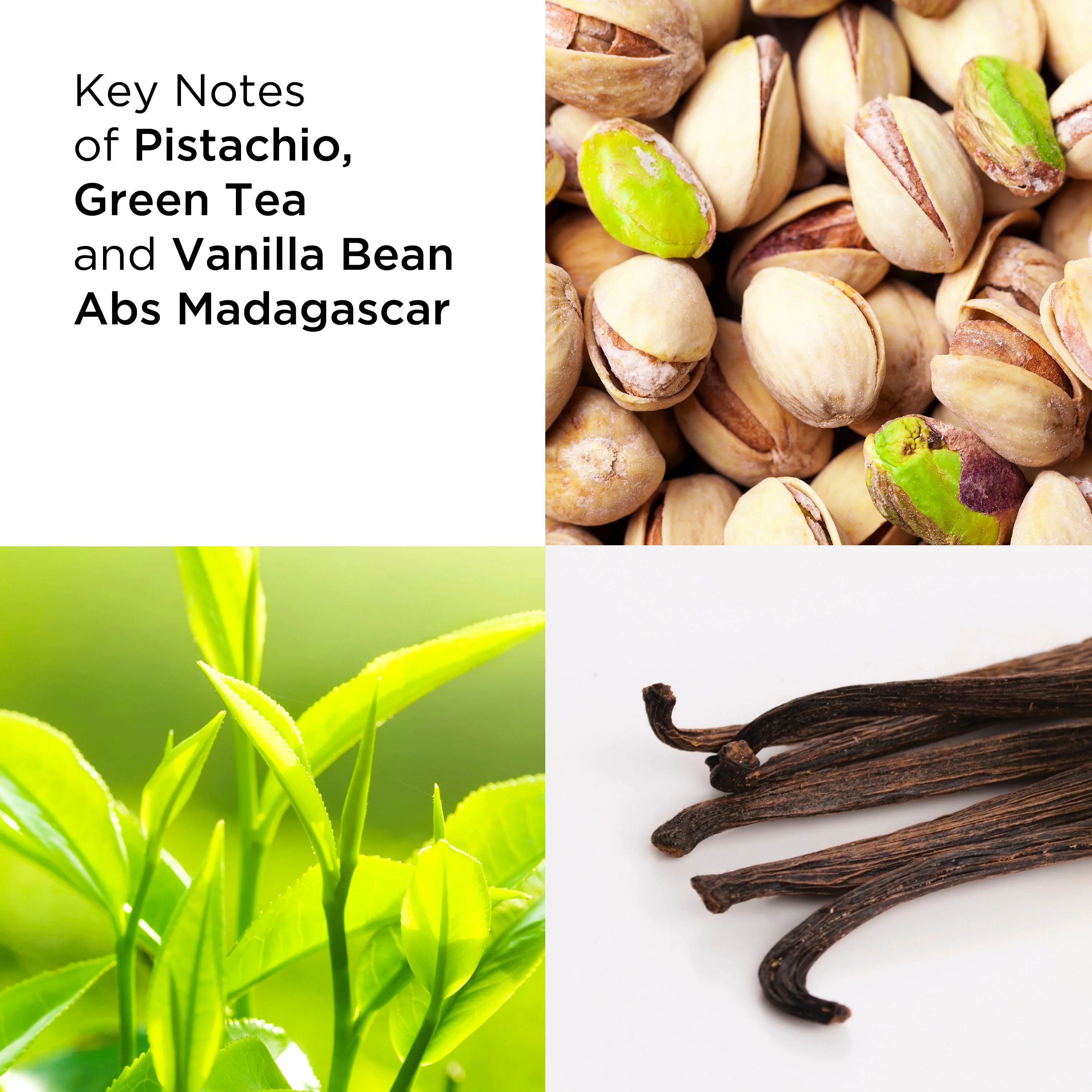 Green Tea Pistachio Crunch Honey Drops Body Cream - Image 6