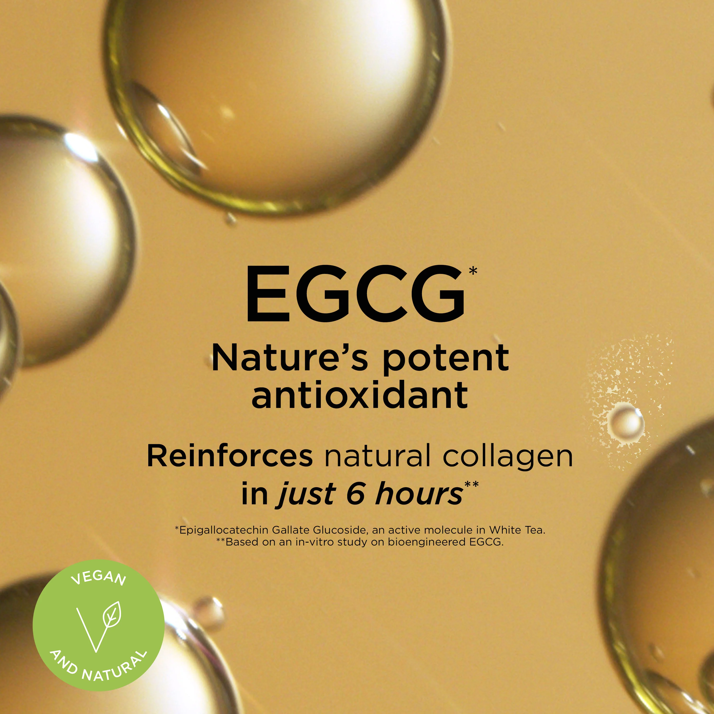White Tea Skin Solutions Fortifying Bi-Phase Oil Serum - Image 6